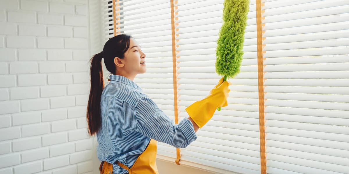 House Cleaning English Sentences